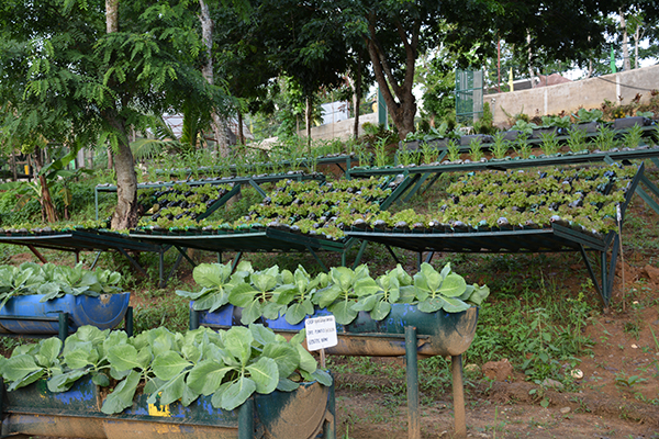 LMPC Integrated Organic Farm